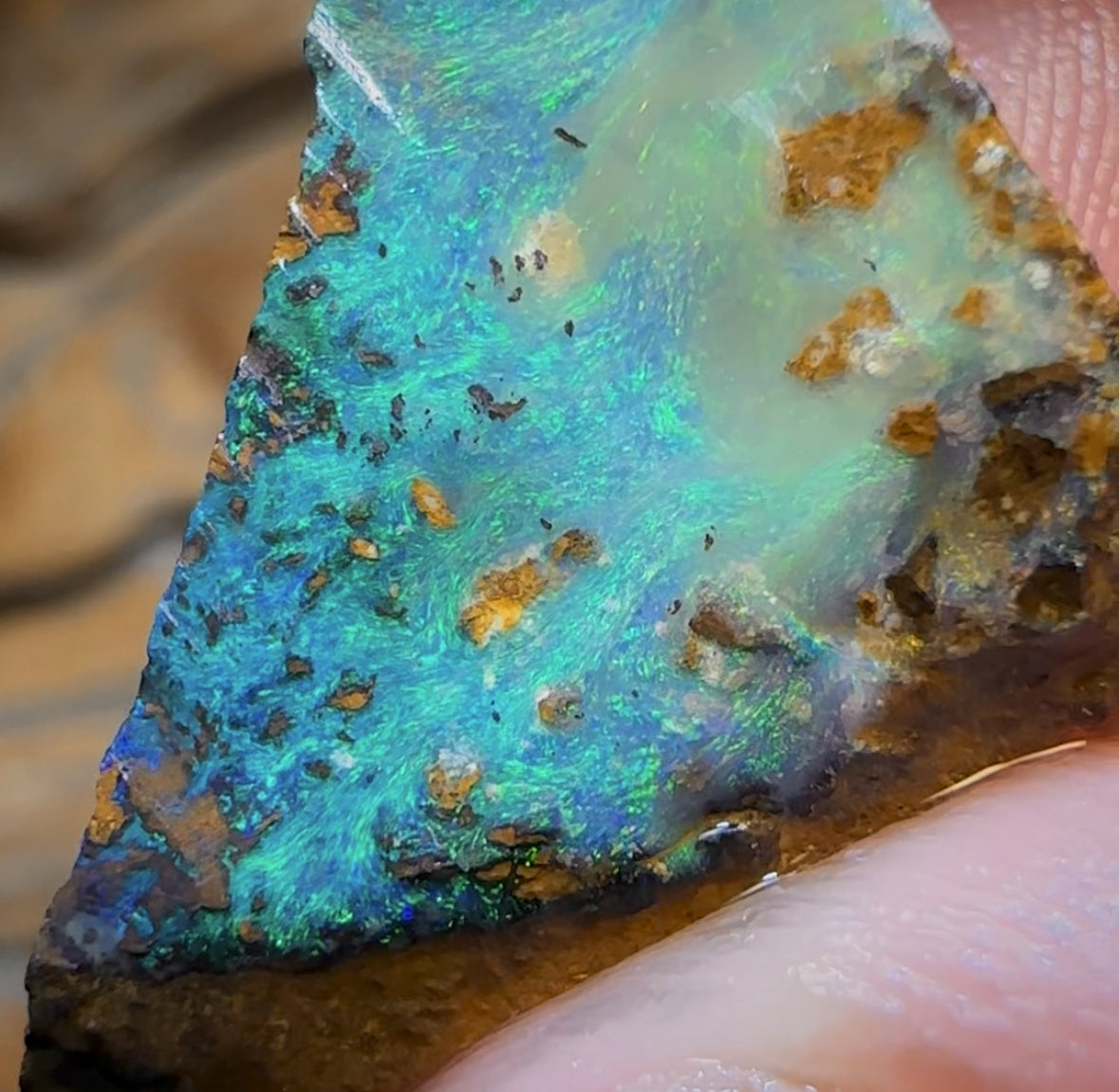 26.4cts - Queensland Boulder Seam Opal Rub