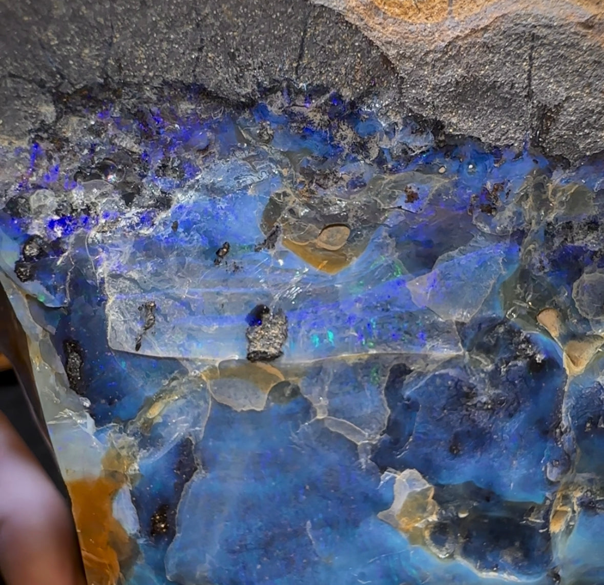 906g - Large Queensland Boulder Opal Rough Specimen from Winton - Opal Whisperers