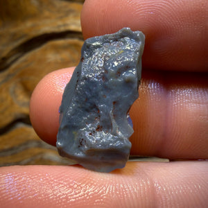 14.1cts - Lightning Ridge Dark Opal Rough Piece