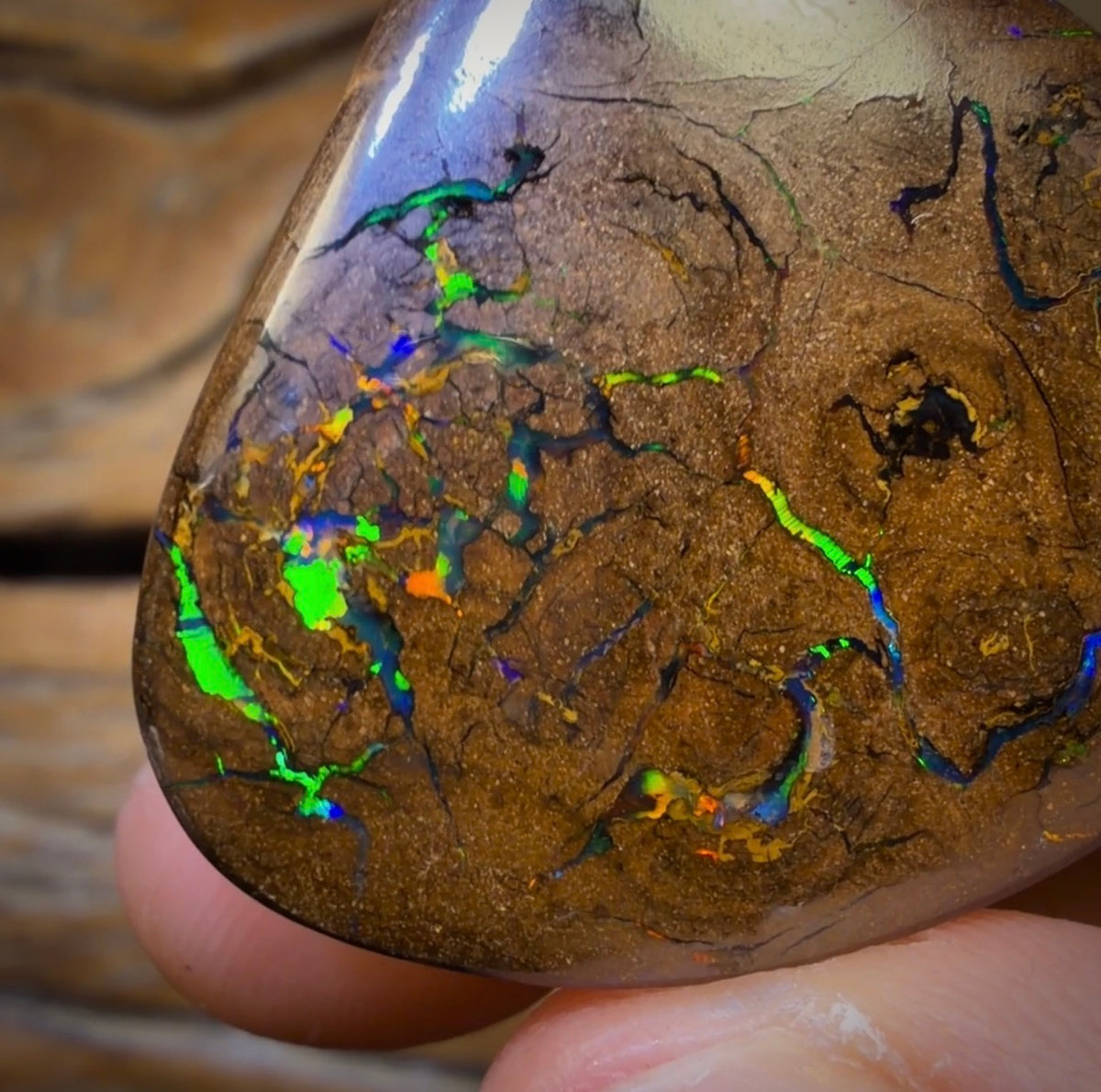 68.2cts - Queensland Boulder Opal. Bubbleband Formation