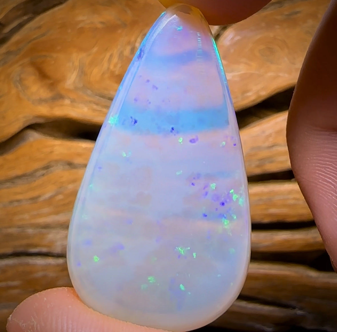 43.2cts - Super Stone Large GEM South Australian Crystal Opal. Heritage Collection