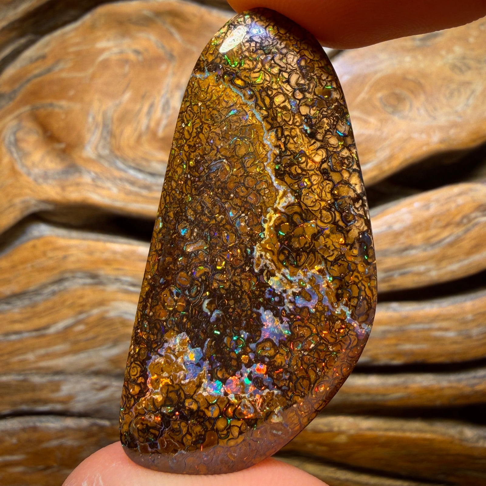 92.1cts - Tan Tribal Yowah Nut Opal. Red Multicolour