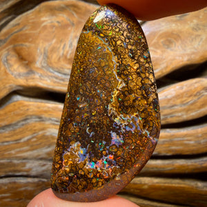 92.1cts - Tan Tribal Yowah Nut Opal. Red Multicolour