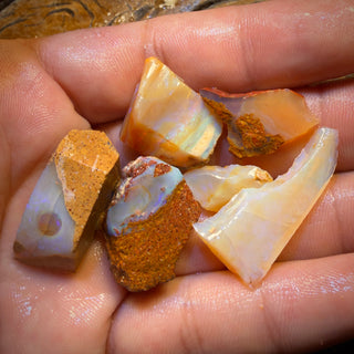 🔨 ENCHÈRE 🔨 92,3 cts - Lot de 6 Opales brutes de Boulder Pipe du Queensland