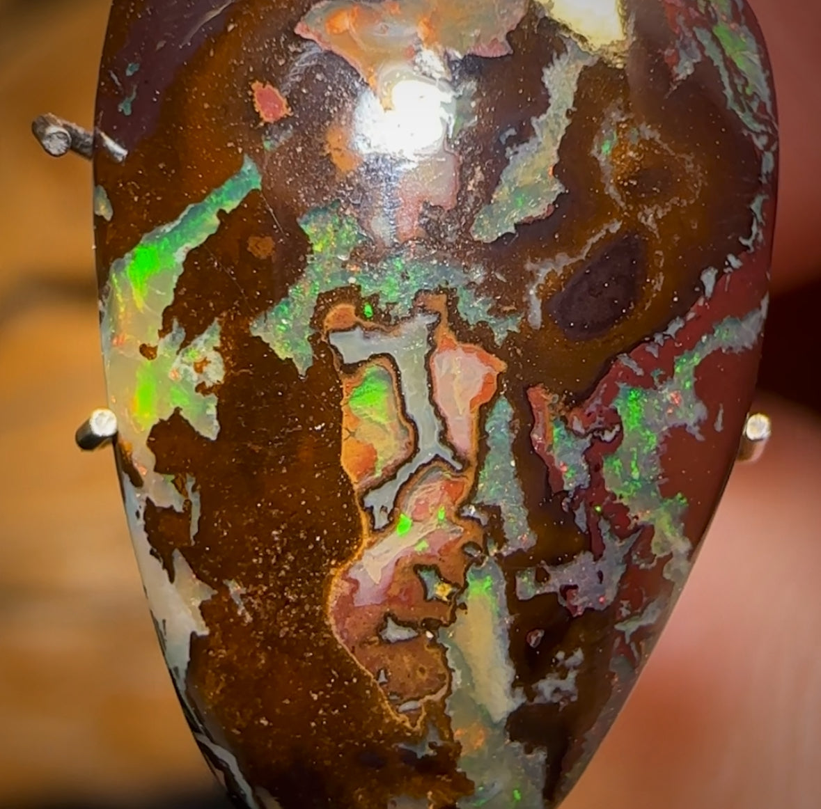 7.1cts - Australian Boulder Opal from Koroit