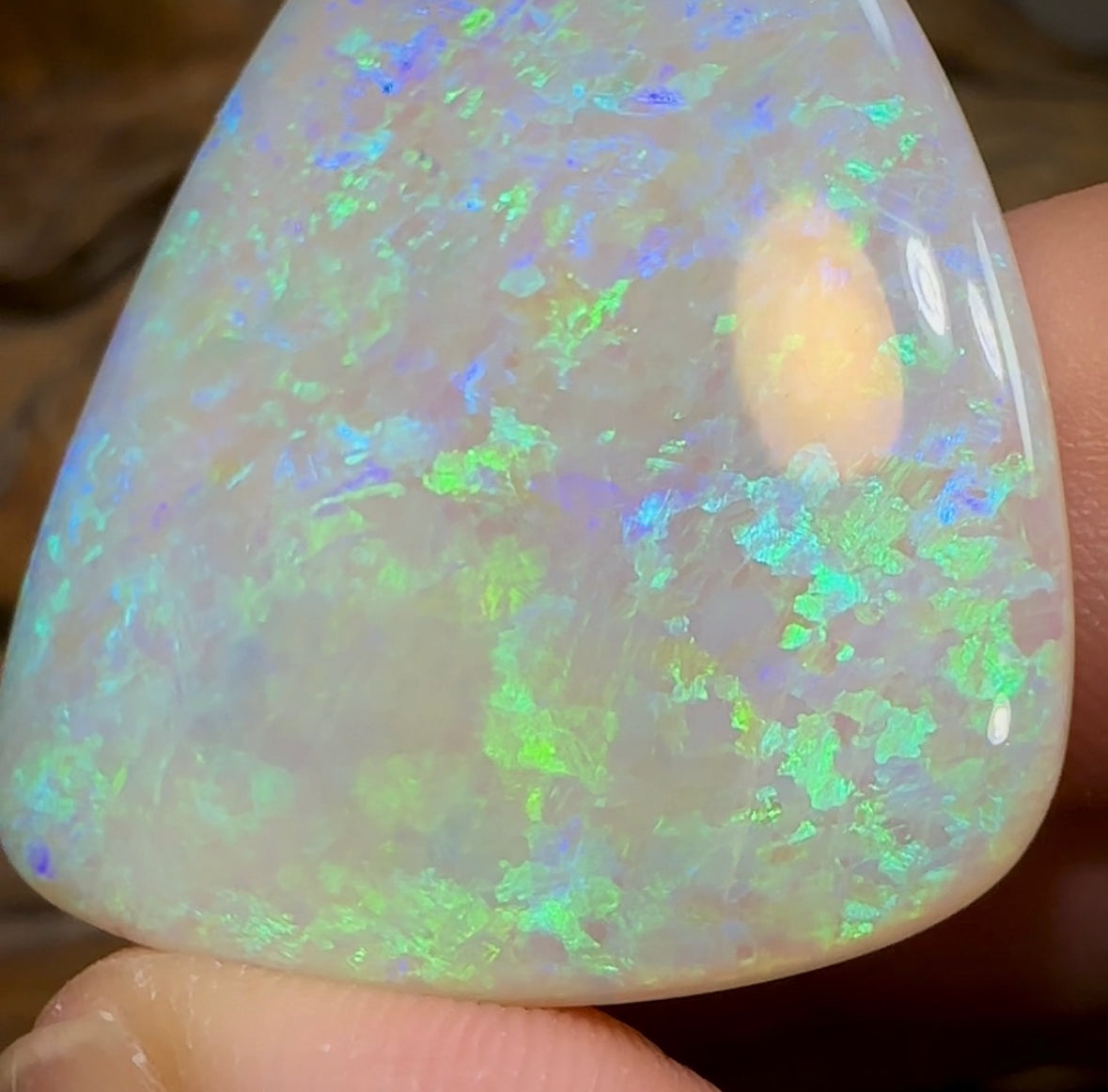 51.5cts - LARGE Heritage Collection South Australian  Crystal Opal - Opal Whisperers