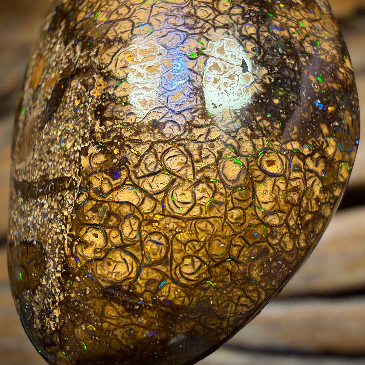 Solid Tan Tribal Queensland Boulder Opal Pendant