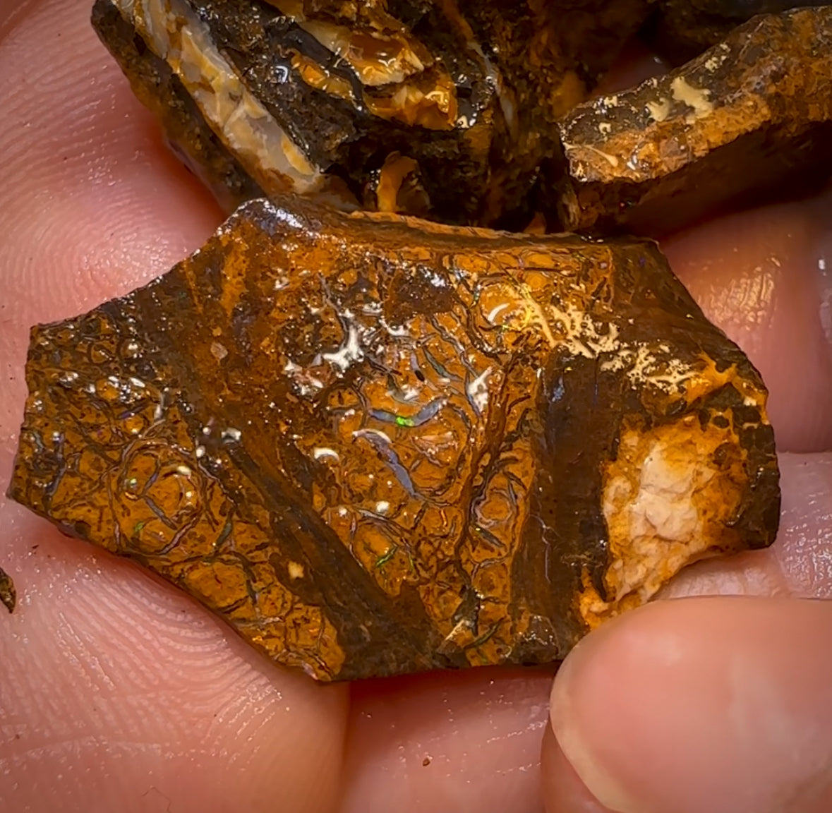 202.3cts - 6x Queensland Boulder Rough Opal Parcel. Yowah Nut &gt;$1/ct