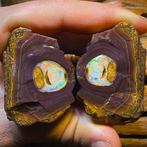 923.8cts - RARE Rough Yowah Nut Crystal Centre Pair. Found on ‘OUTBACK OPAL HUNTERS’!