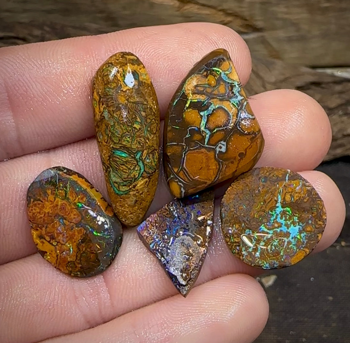 56.8cts - 5 x Boulder Rough Opal Cutting Material