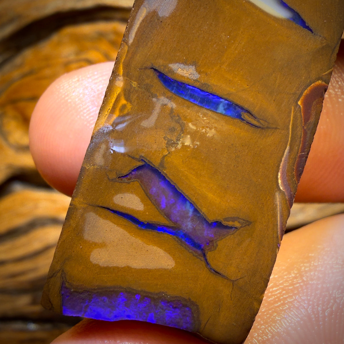 124.7cts - Queensland Boulder Opal Rough Preform from Duck Creek