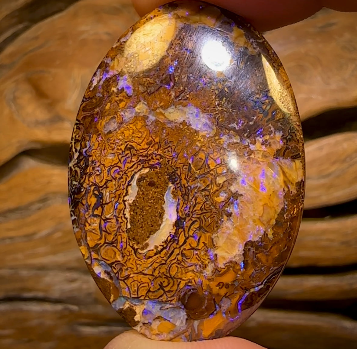 80.4cts - Large Oval Tribal Yowah Nut Opal. Double Sided!