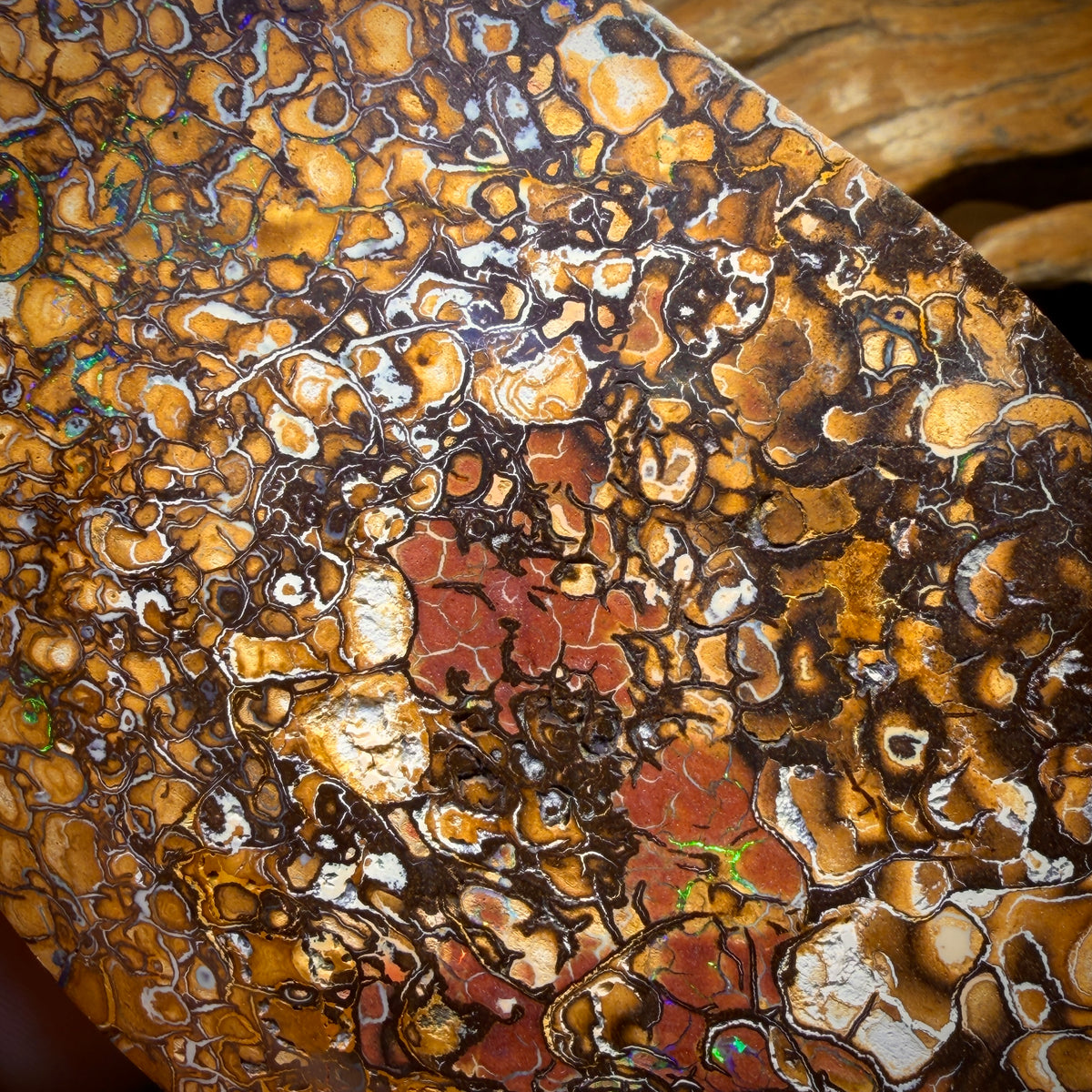 2082cts - HUGE Tribal Australian Boulder Opal Polished Specimen