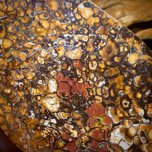 2082cts - HUGE Tribal Australian Boulder Opal Polished Specimen