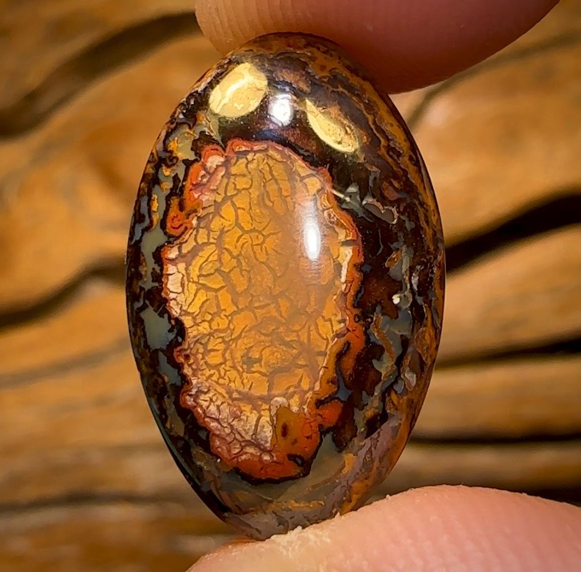 9.6cts - Yowah Nut Kernel Opal. Australian Boulder Opal