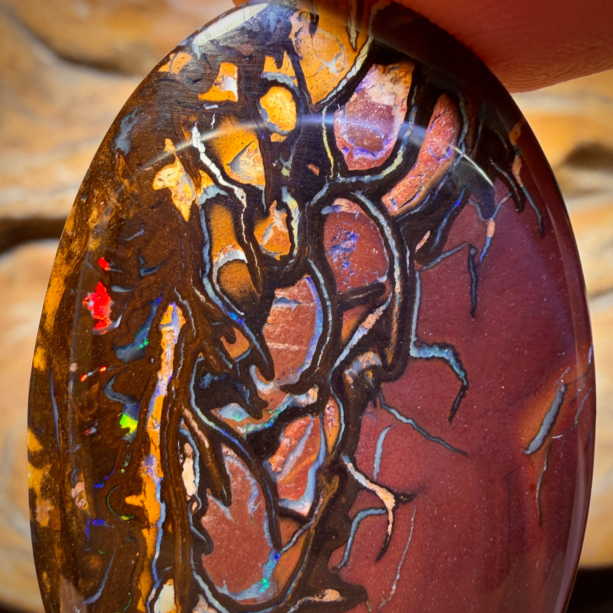 52.6cts - Top Tribal Queensland Boulder Opal from Yowah