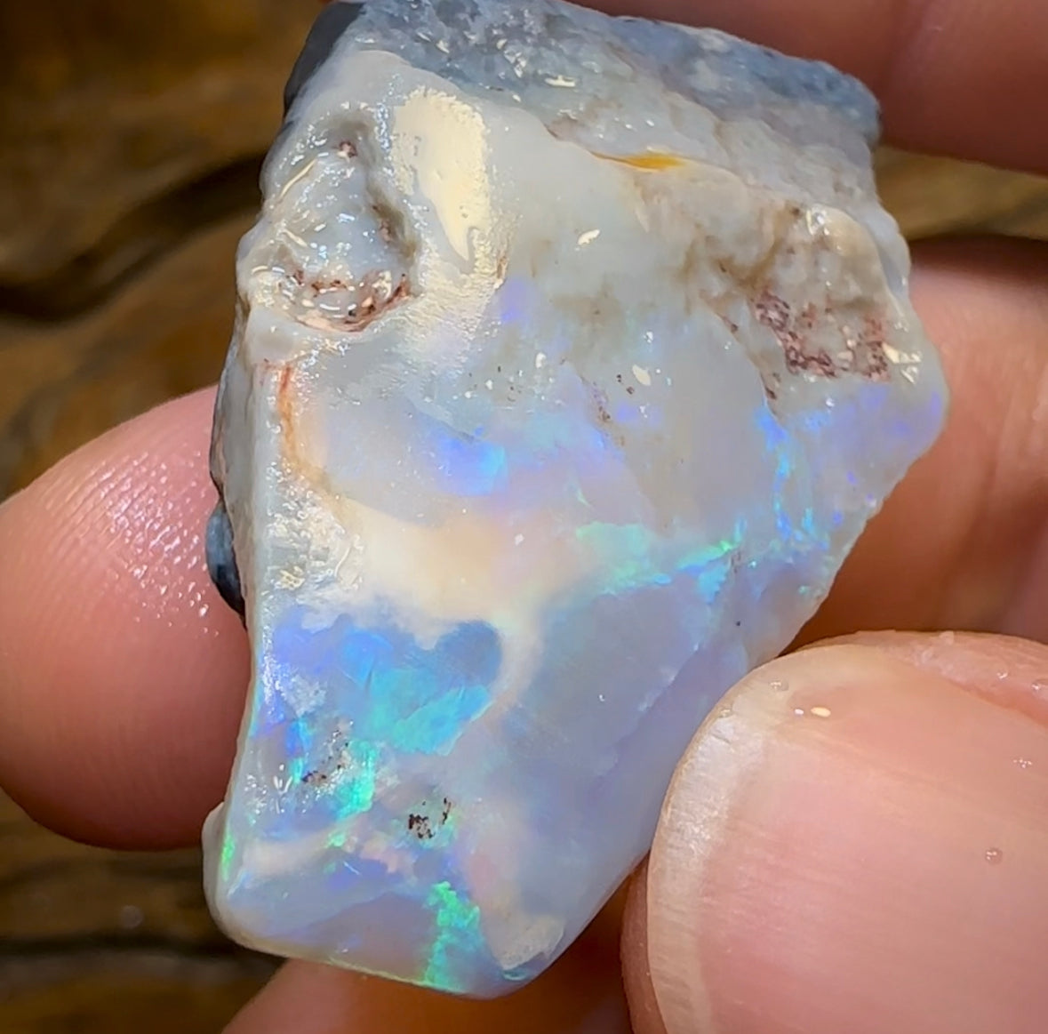 58.2cts - Dark Opal Rough Piece from Lightning Ridge. Flag/Chaff - Opal Whisperers