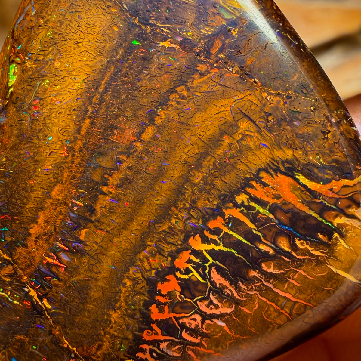 59.8cts - Great White Tribal Queensland Boulder Opal Firey Picture Stone. Red Multicolour Bargain