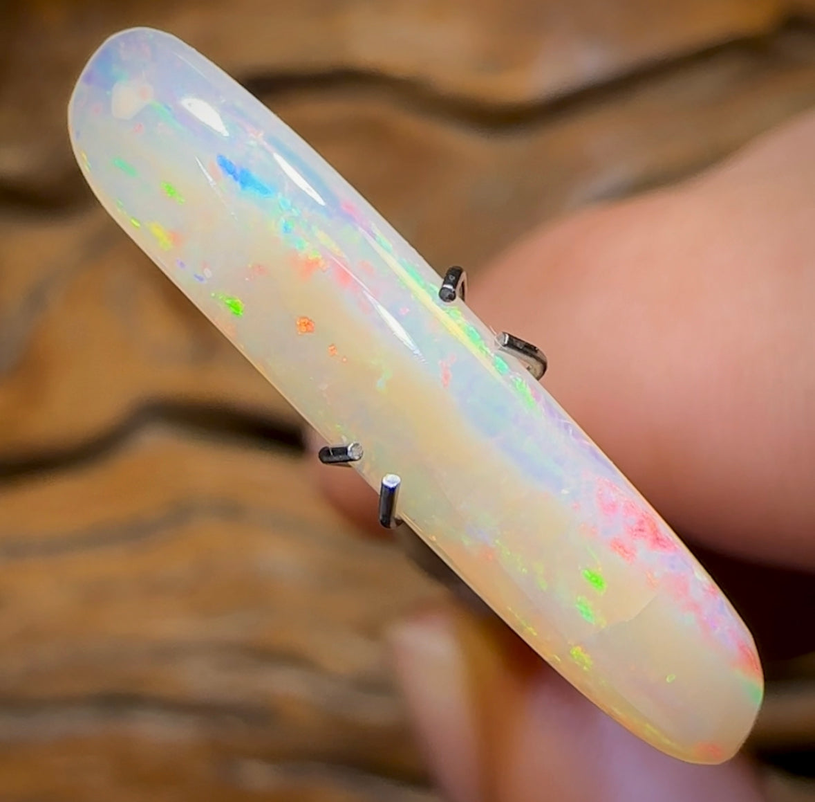 2.6cts - Queensland Boulder Crystal Opal. Australian Opal - Opal Whisperers