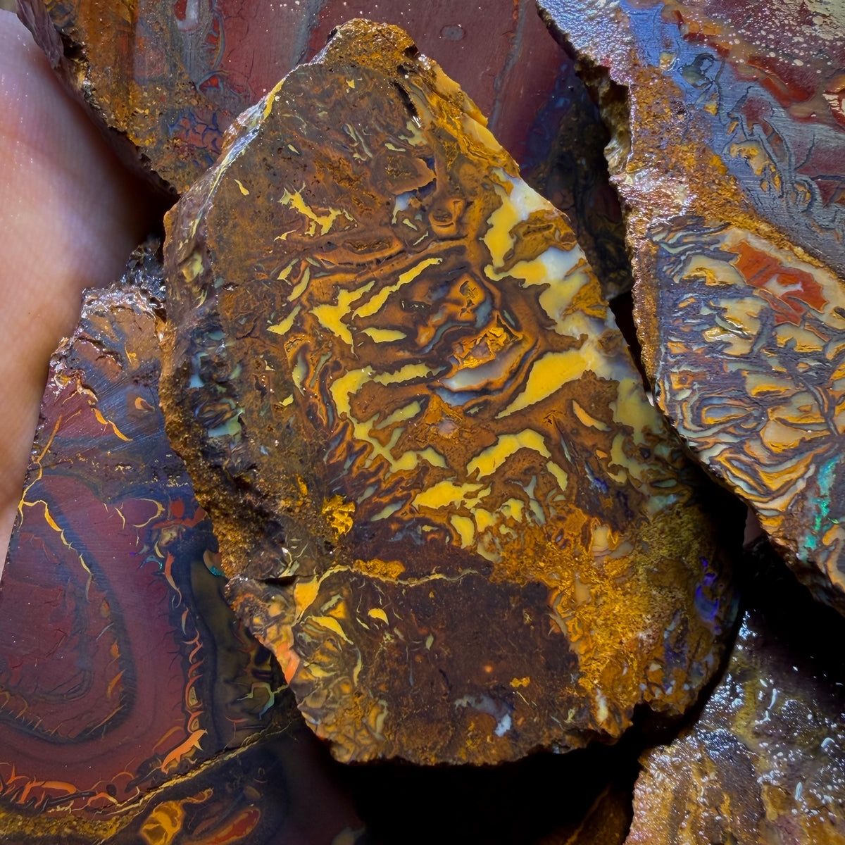 Wild Card! 1789cts - 6x Yowah Nut Tribal Opal Rough Parcel. Australian Boulder Opal