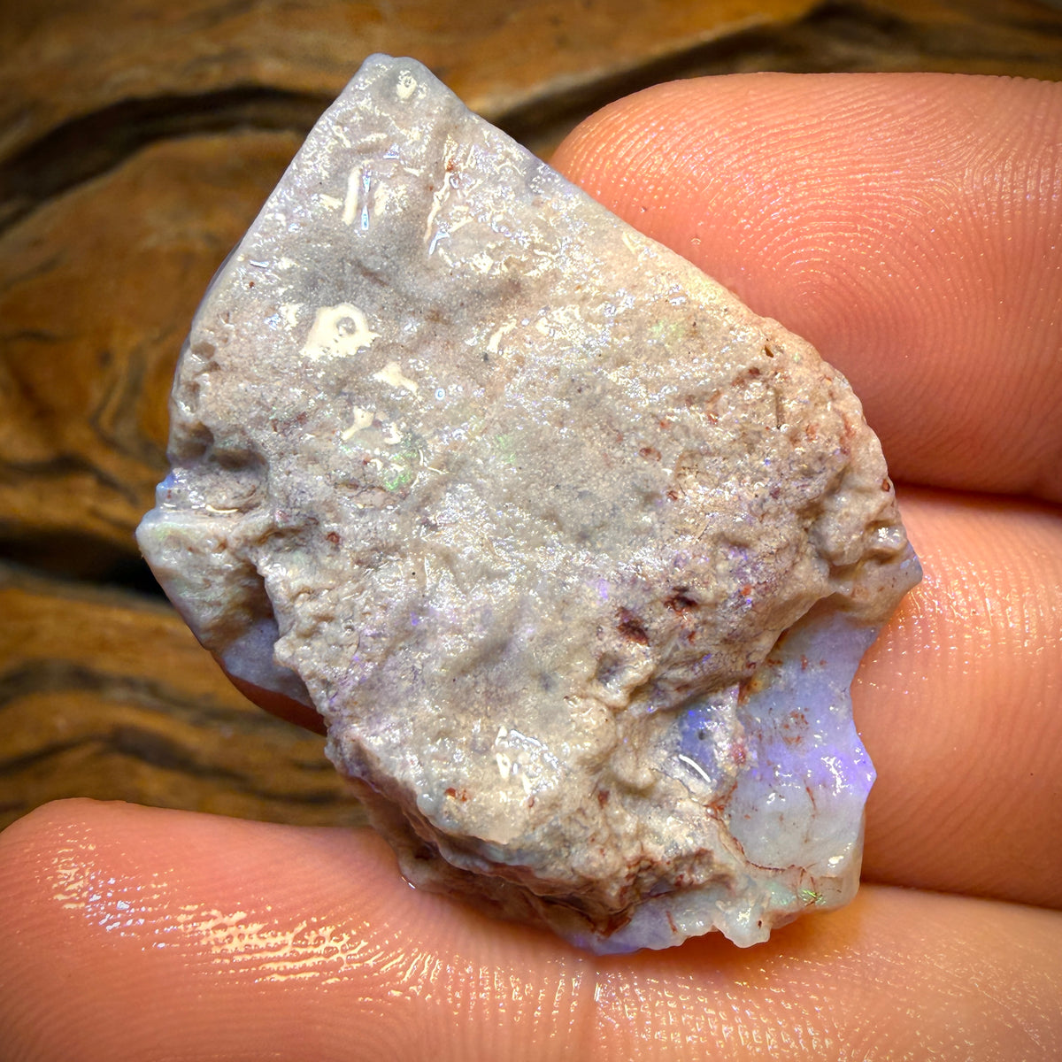 47,9cts - Lightning Ridge Opal-Rohstück