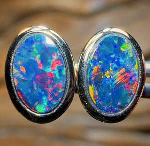 14k Gold - Classic Queensland Boulder Doublet Earrings - Opal Whisperers