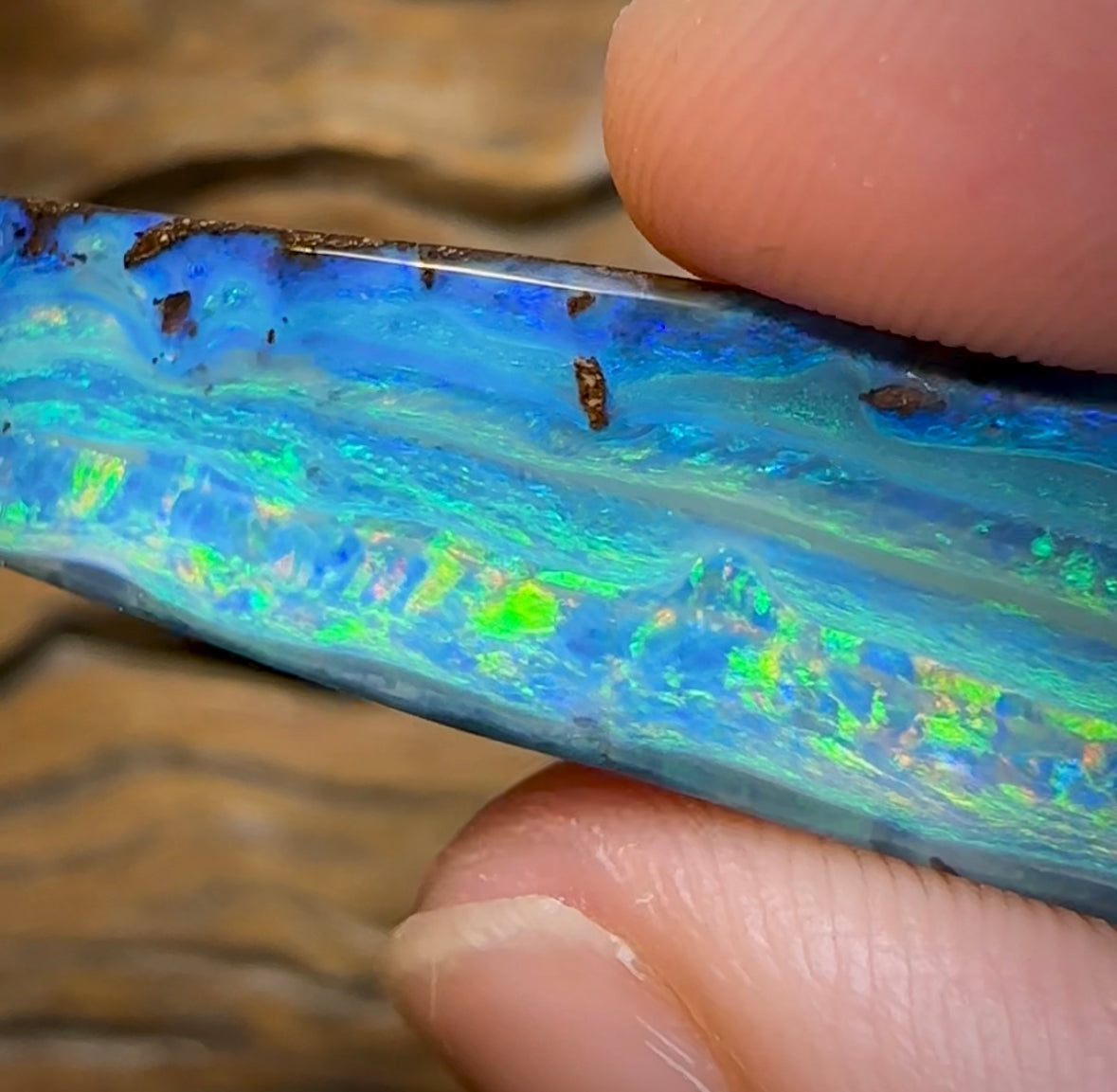 86cts - HUGE Gem Quality Australian Boulder Opal from Winton - Opal Whisperers