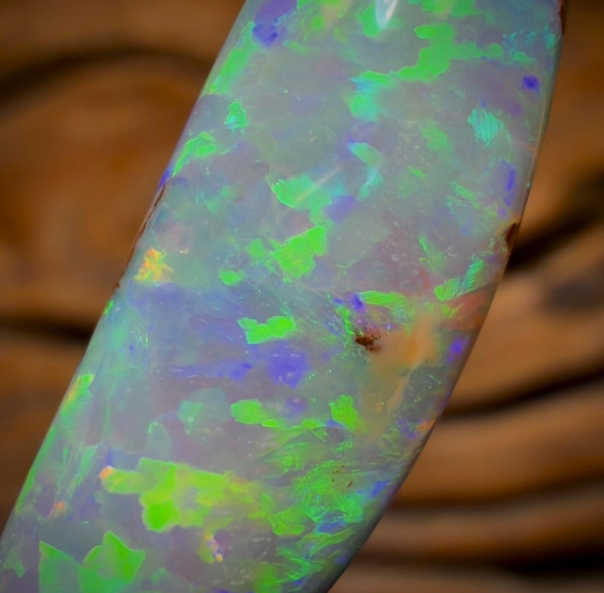 13.4cts - BANGER GEM Rare Fossil Yowah Crystal Opal