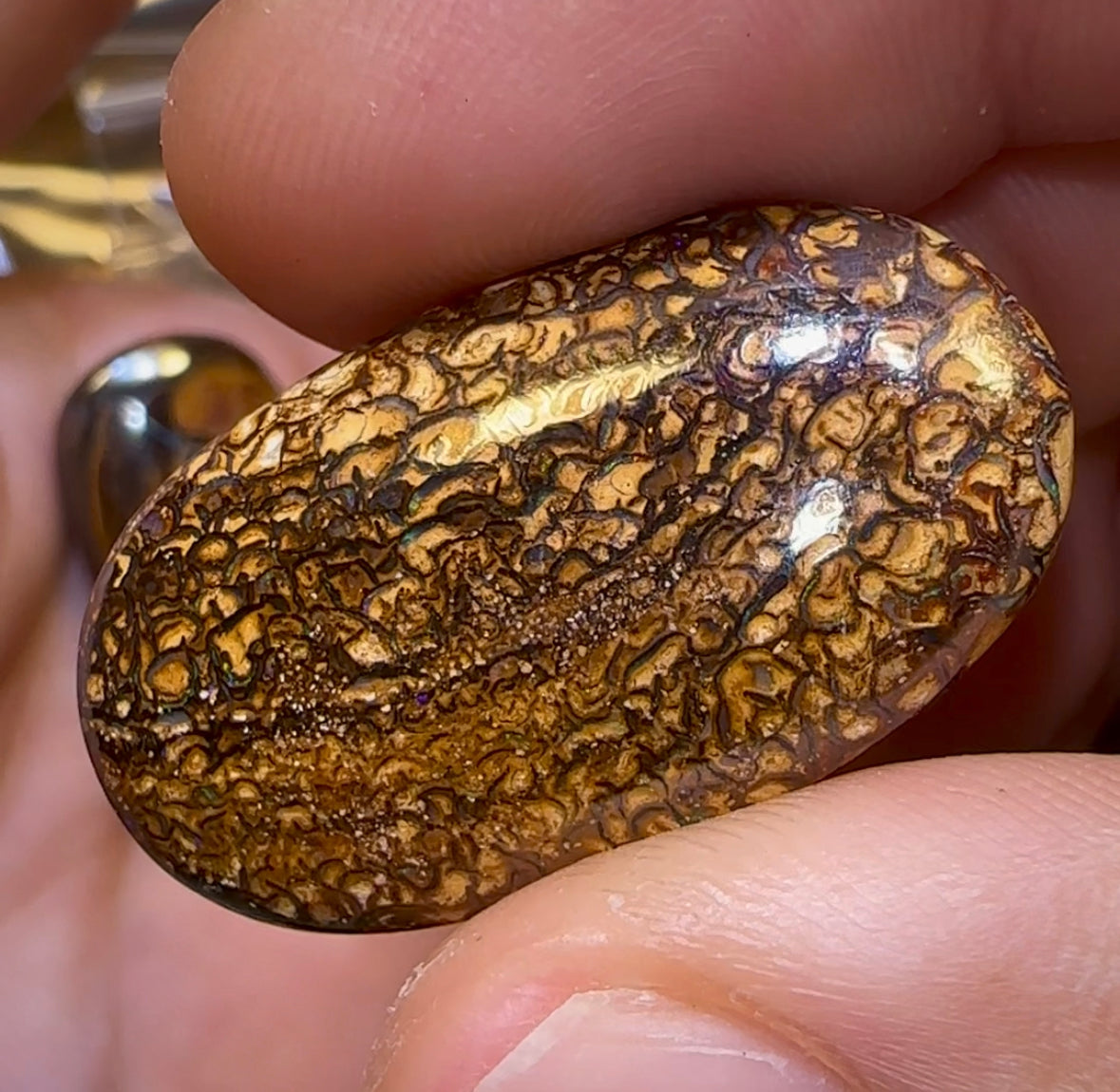 Tribal Boulder Opal Parcel. BULK LISTING - 5 FOR $350 PLUS 6th ONE FREE!!! - Opal Whisperers