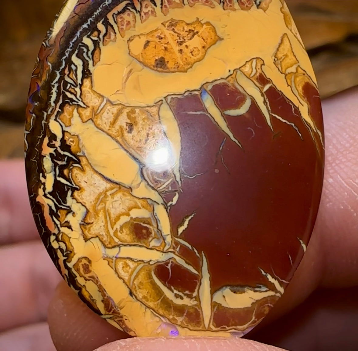 62.1cts - Yowah Nut Opal Pair. Best Double Sided  TRIBAL PATTERN - Opal Whisperers