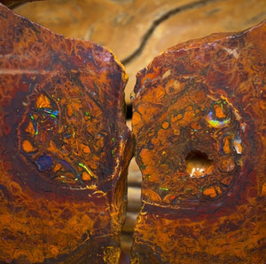 Wildcard! 169.2cts - Tribal Yowah Nut Opal Rough Pair. Australian Opal