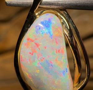 18k Gold - Solid Fossil Pippy Shell Opal Pendant - Opal Whisperers