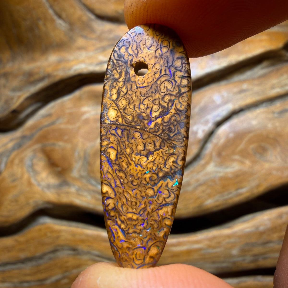Bargain Card! 35 x 12mm - Drilled Tribal Queensland Boulder Opal
