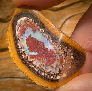 107.2cts - Yowah Nut Kernel Opal Specimen Polished