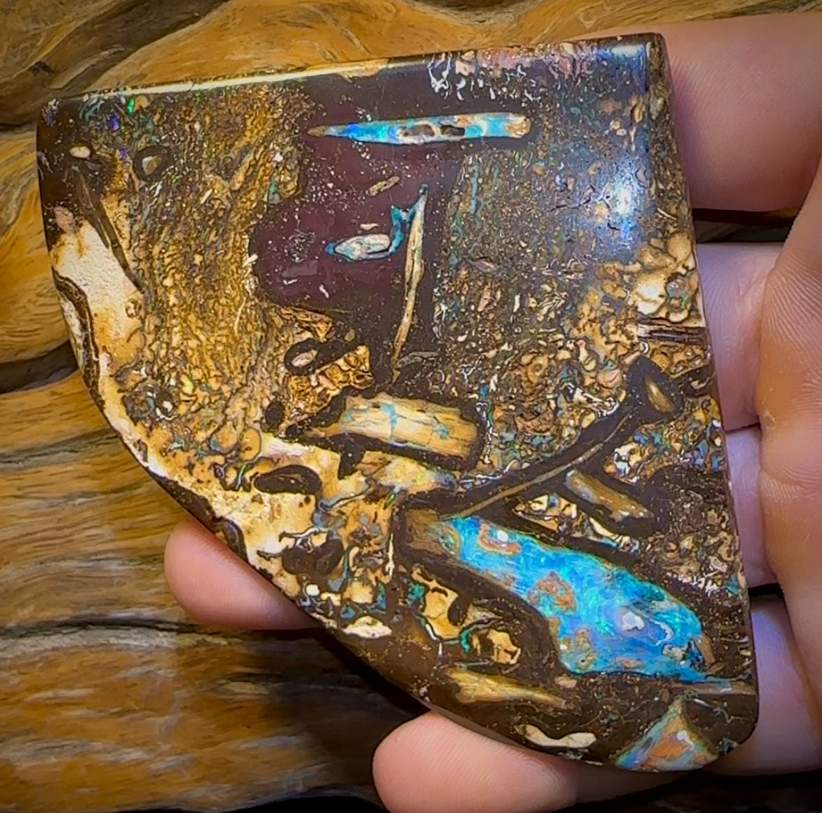 481cts - Vegetation Fossil Queensland Boulder Opal. Polished Specimen