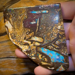 481cts - Vegetation Fossil Queensland Boulder Opal. Polished Specimen