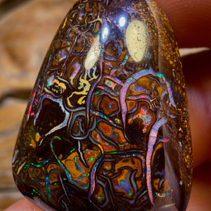 69.3cts - TopTribal Queensland Boulder Opal from Yowah Red Multi