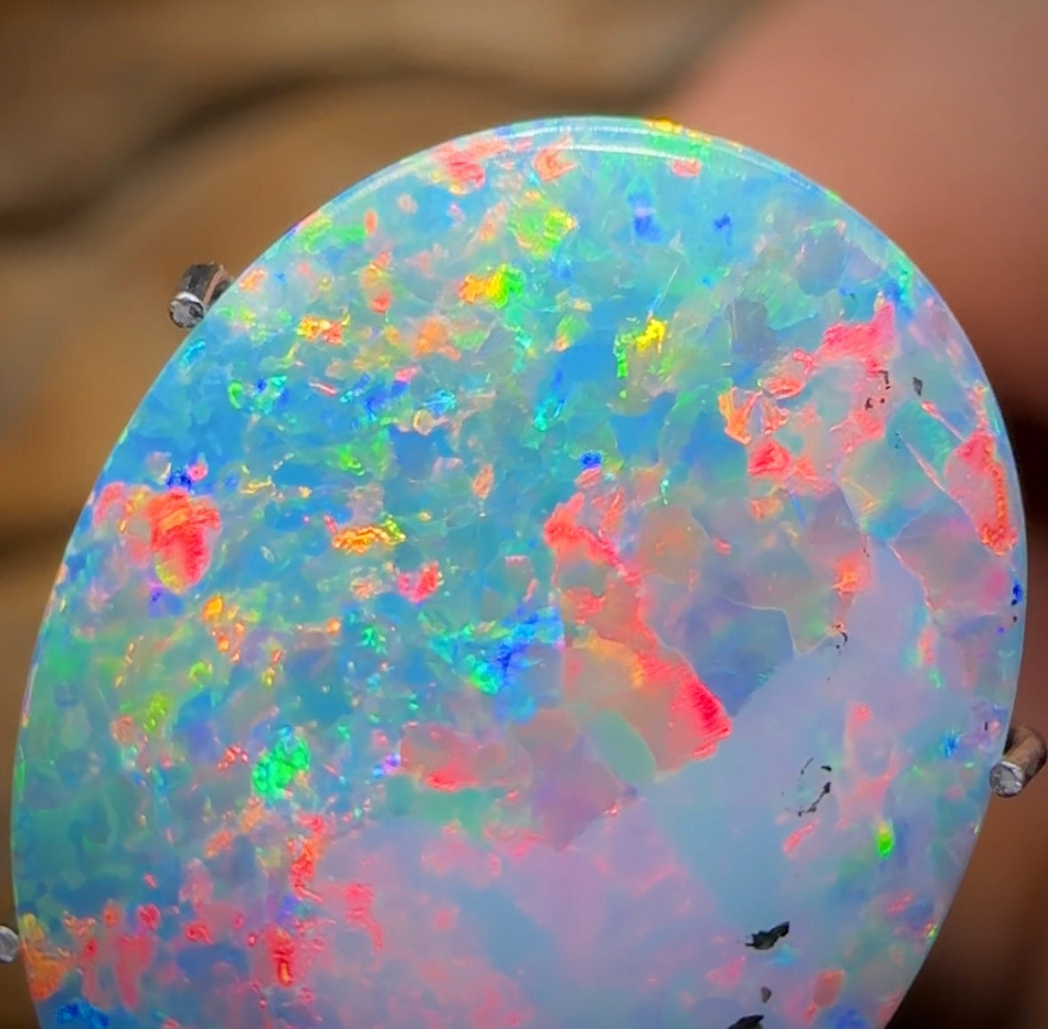 4.9cts - Lightning Ridge Black Opal Doublet. Old School - Opal Whisperers