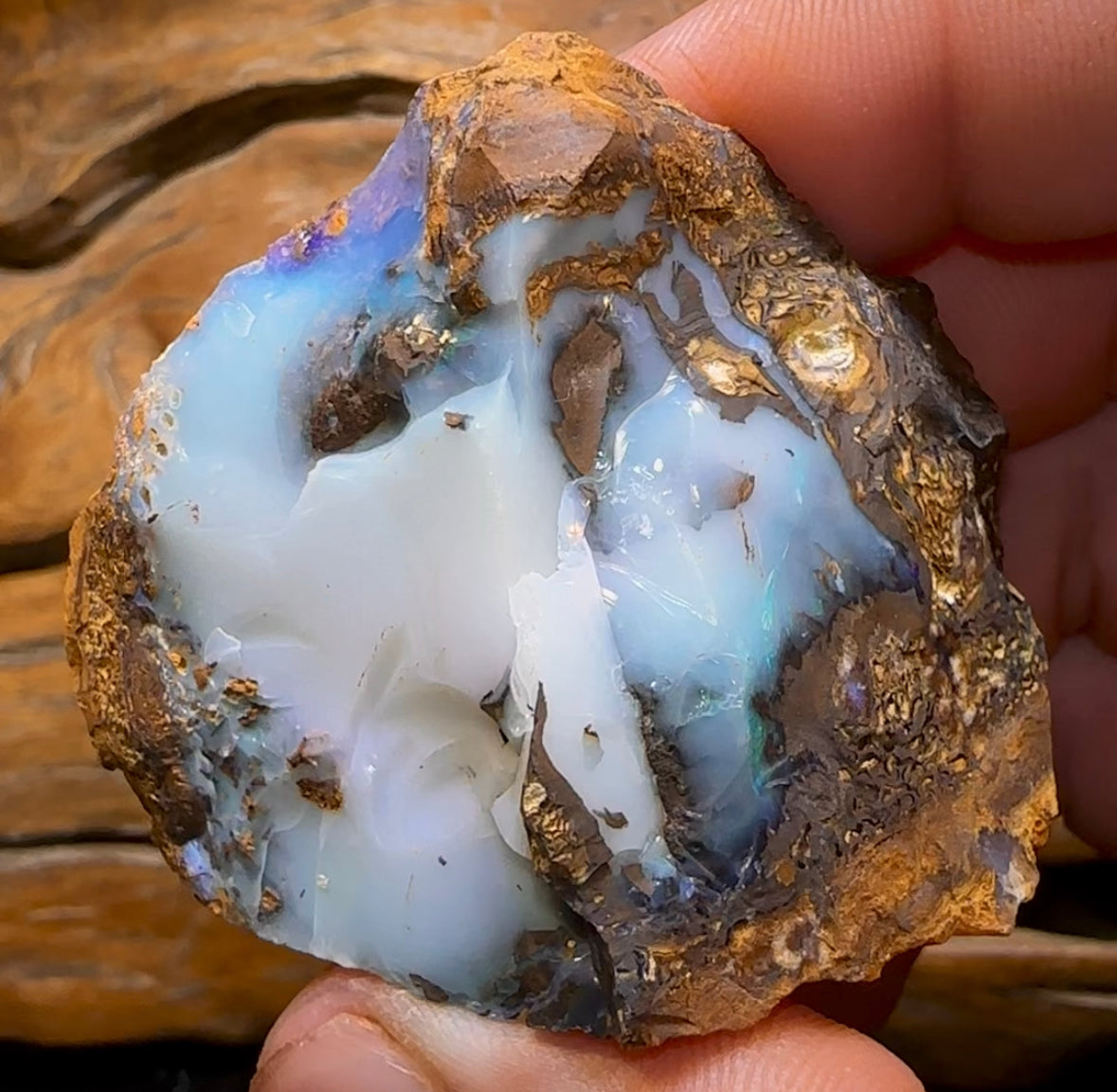 454.2cts - Large Rough Yowah Nut Opal Partial Crystal Centre - Opal Whisperers