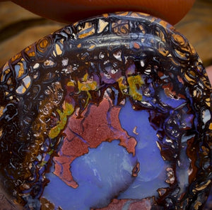 48-Hour VIP Crazy Offer 244.3cts - Yowah Nut Tribal Kernel Opal Pair