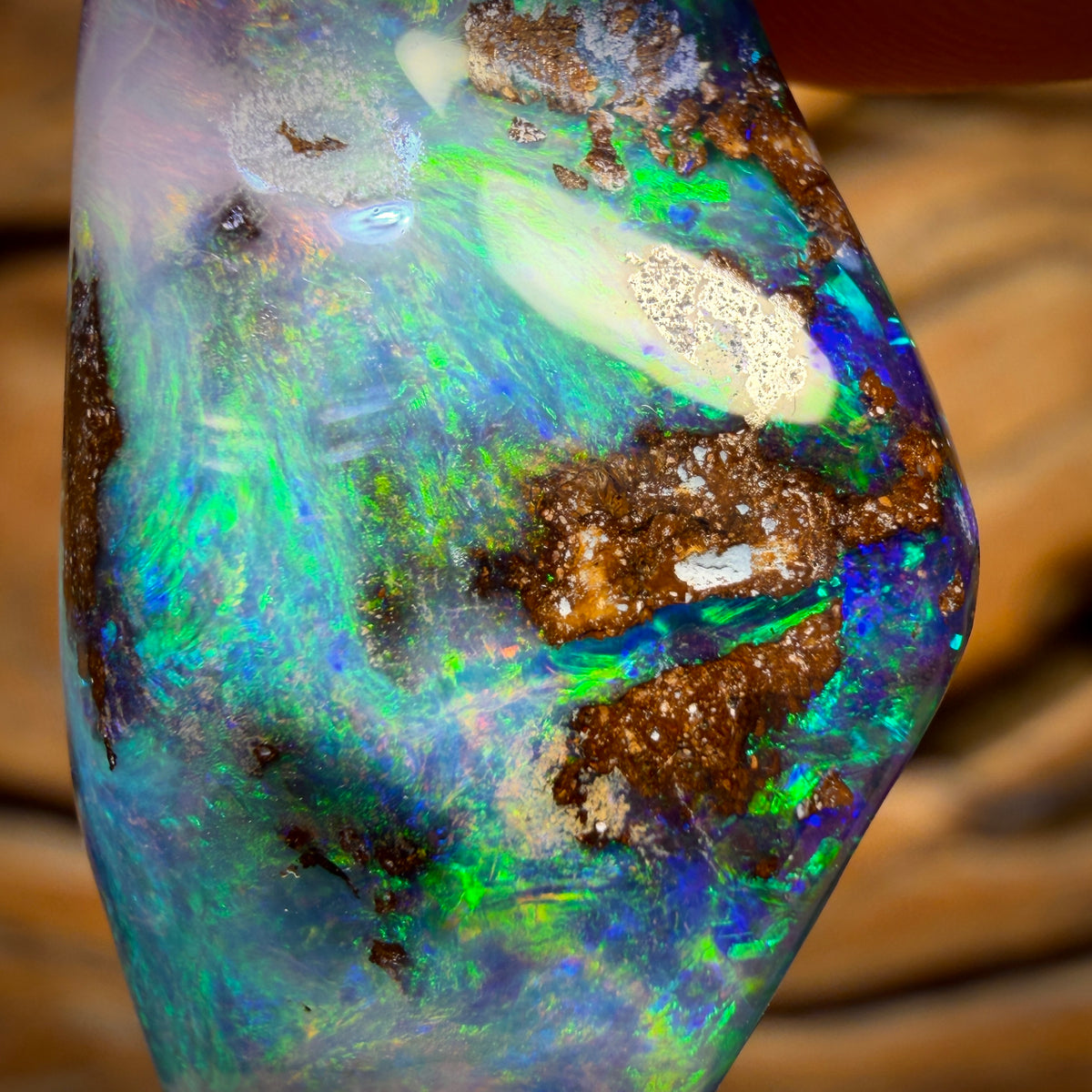 34.2cts - Gem Queensland Boulder Seam Opal