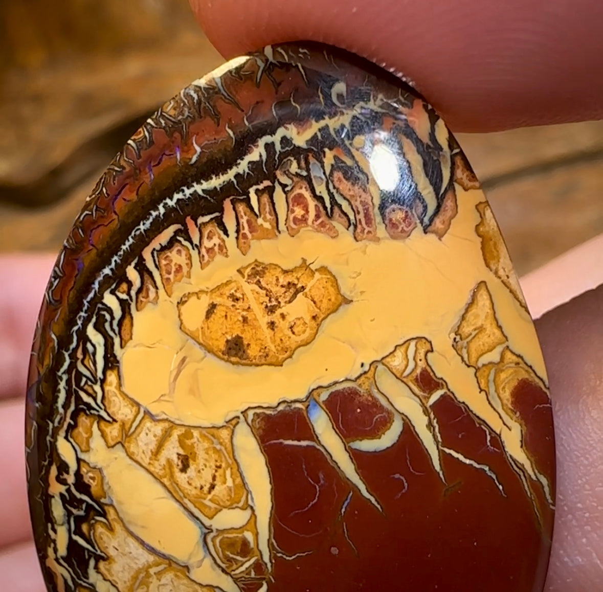 62.1cts - Yowah Nut Opal Pair. Best Double Sided  TRIBAL PATTERN - Opal Whisperers