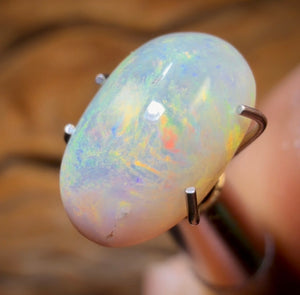 2.9cts - Magic Bean Lightning Ridge Light Opal