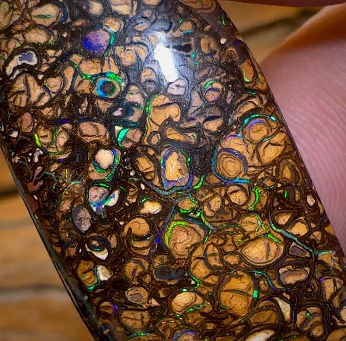 66.2cts - Yowah Nut Tribal Opal - Opal Whisperers