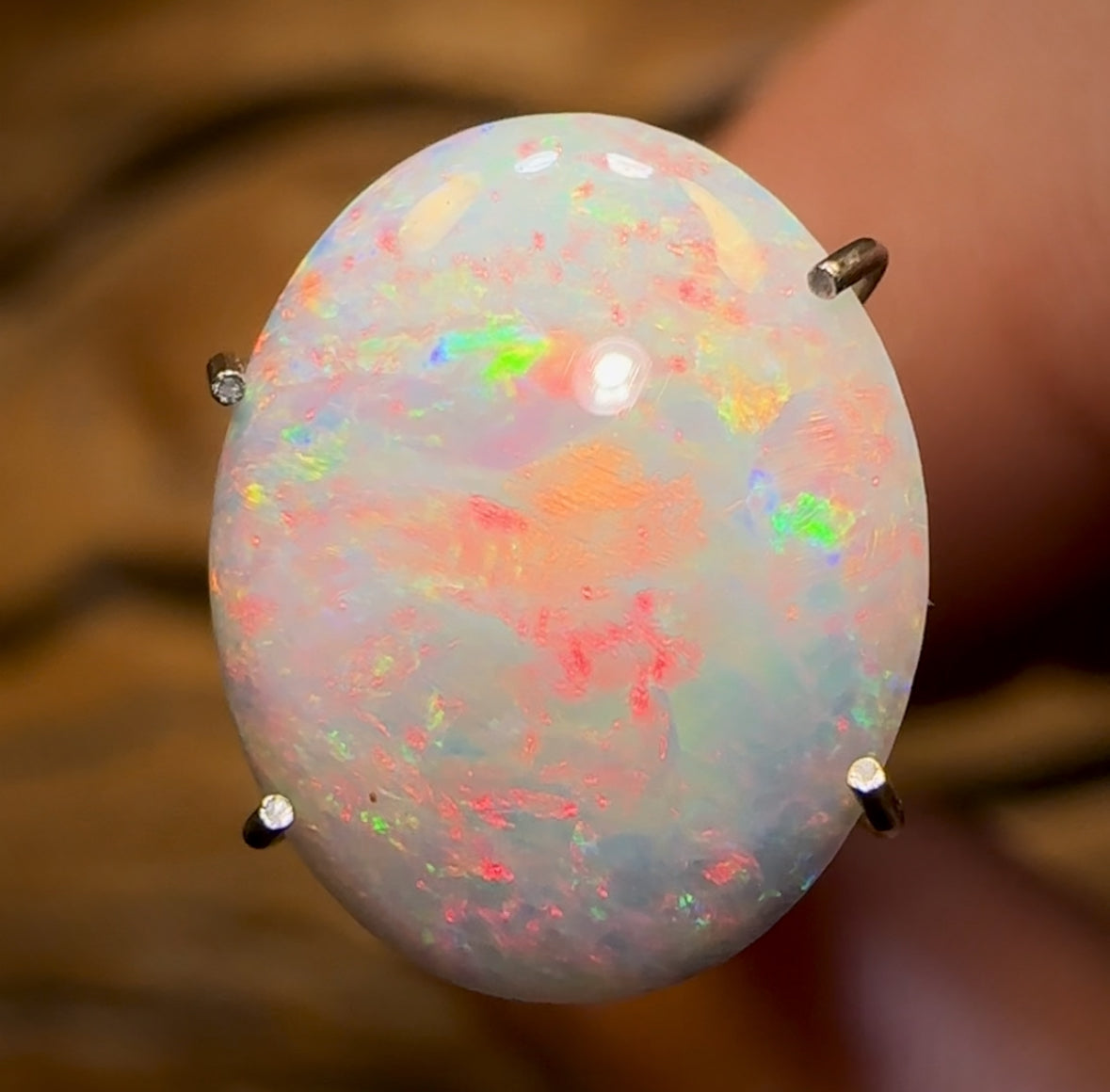 2,2 carats - Opale blanche rare d'Australie du Sud de Mintabie