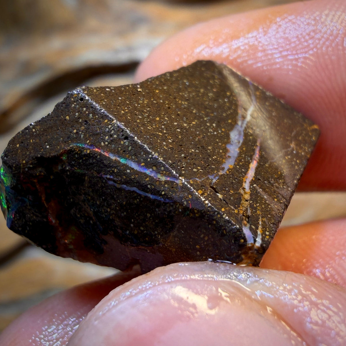 Dad Wildcard! 40.2cts - Queensland Boulder Seam Opal Rough Piece. Natural Split Rare Red Fire