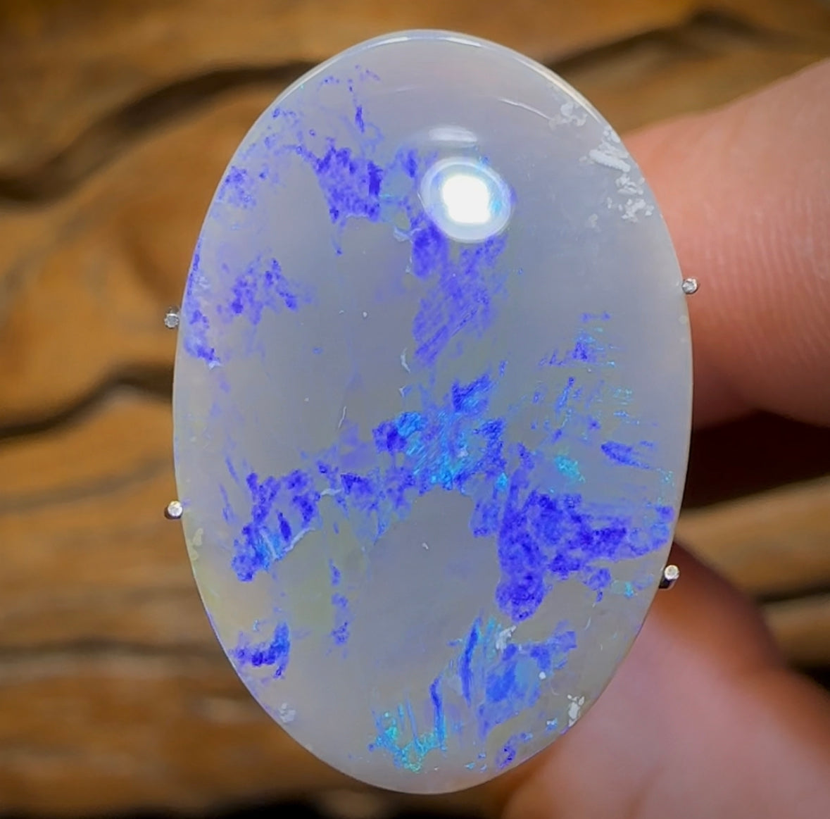 5.6cts - Lightning Ridge Dark Opal - Opal Whisperers