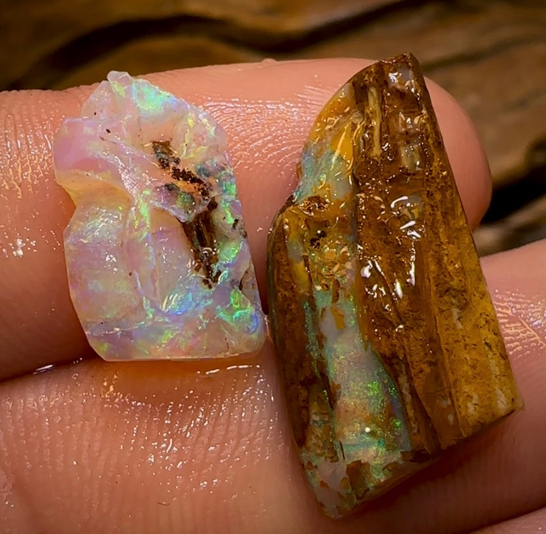 Cut or Carve Combo 12.1cts - Yowah Nut Crystal Centre and Opal Wood Rough Pair