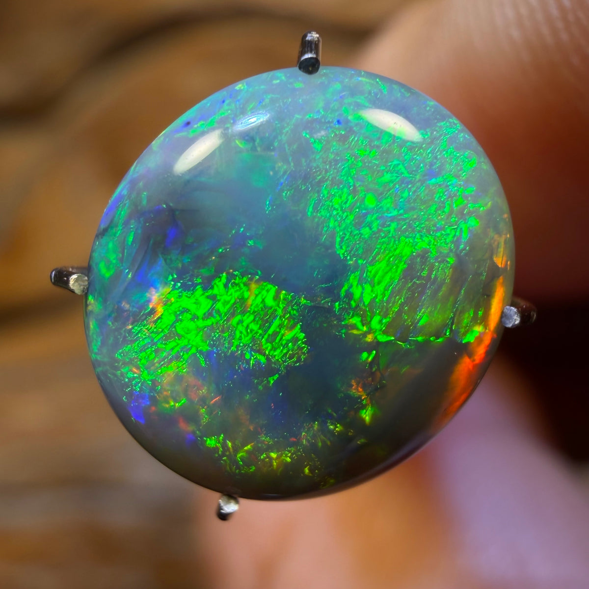 2.9cts -Lightning Ridge Black Opal