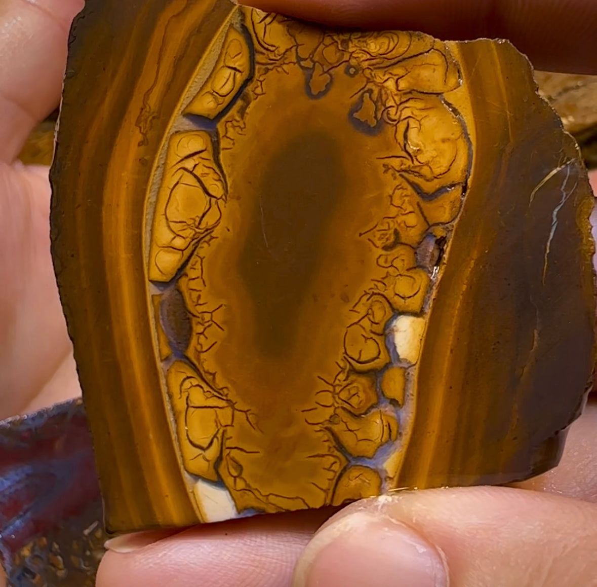 222.7g - 5x Yowah Nut Matrix Rough Slabs. Boulder Opal Parcel BARGAIN - Opal Whisperers